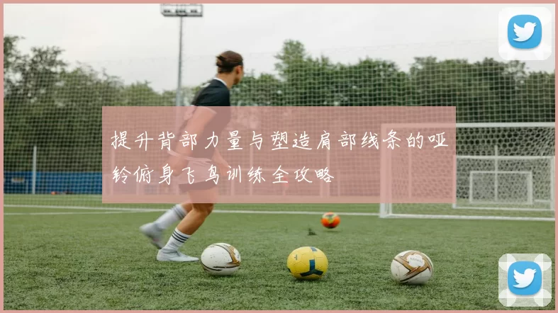 提升背部力量与塑造肩部线条的哑铃俯身飞鸟训练全攻略