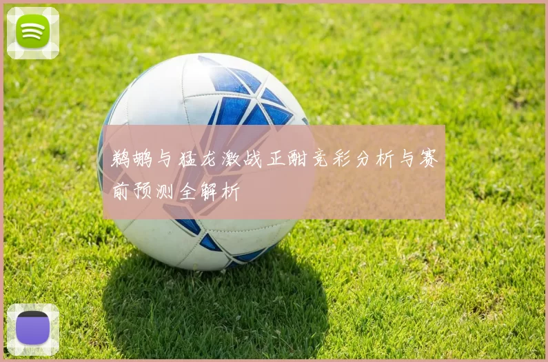 鹈鹕与猛龙激战正酣竞彩分析与赛前预测全解析